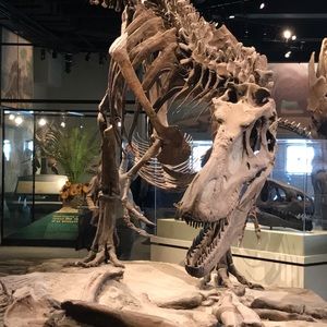 Meet your Posher, Tania